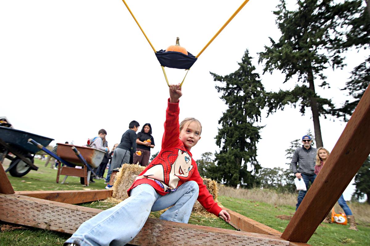 Girl aims pumpkin slingshot at Truck and Tractor Day.